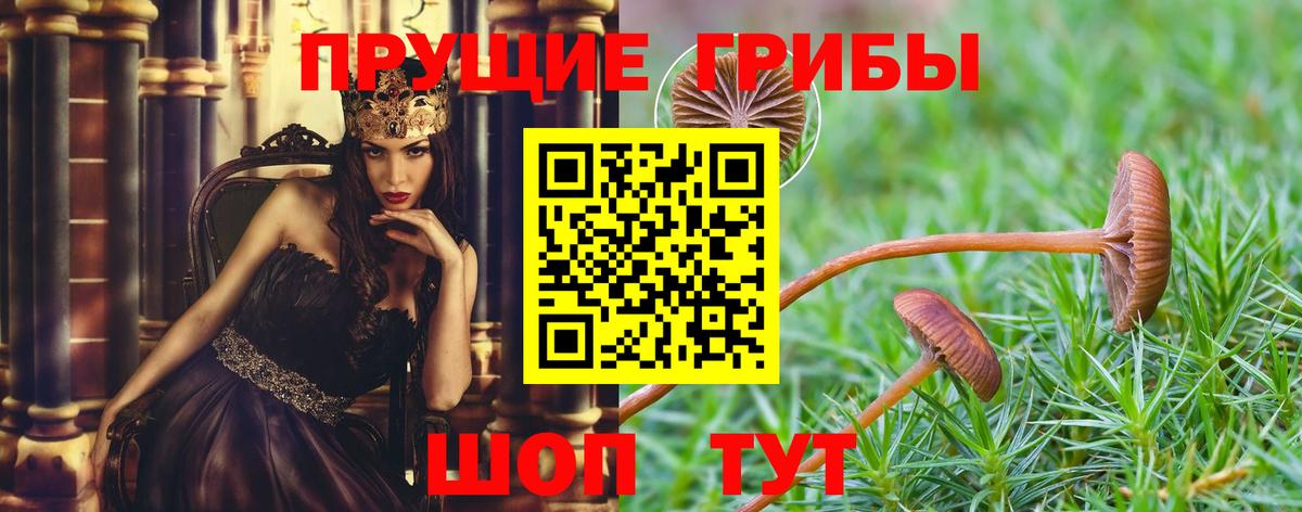 Галлюциногенные грибы GOLDEN TEACHER  Вход с VPN  Мичуринск 