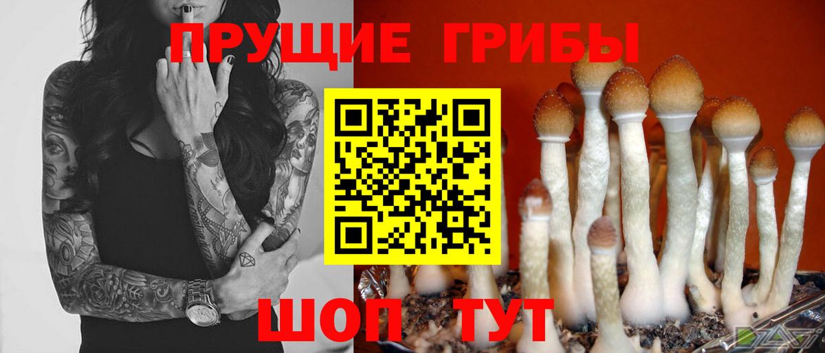 Галлюциногенные грибы GOLDEN TEACHER Мичуринск